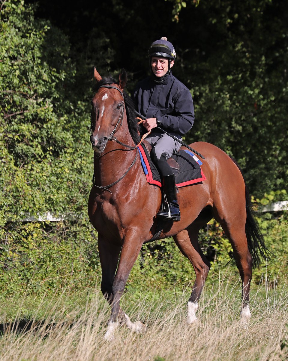 deborahburt1's tweet photo. Wishing @trevor_whelan3 a #speedyrecovery seen here @geoffreydeacon last Tuesday riding #Suitsus and #PicketLine https://t.co/cIqwfzGyn9