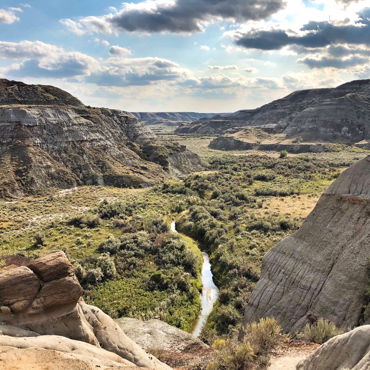 DanielaRoesch's tweet photo. The land before time... #badlands #canada #dinosaurprovincialpark #travel https://t.co/6QV2N5AnYU