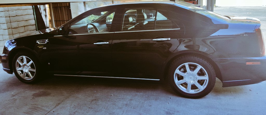 SexiRavenRae's tweet photo. Her name is Domina 
Welcome to the #RavensConstable #RpavensNest
#RavensUnkindness 
#RavensConspiracy 

...she will fit right in
Ive been wanting her for YEARS and now she is here

#BlessedSunday https://t.co/hcSM7glMhE