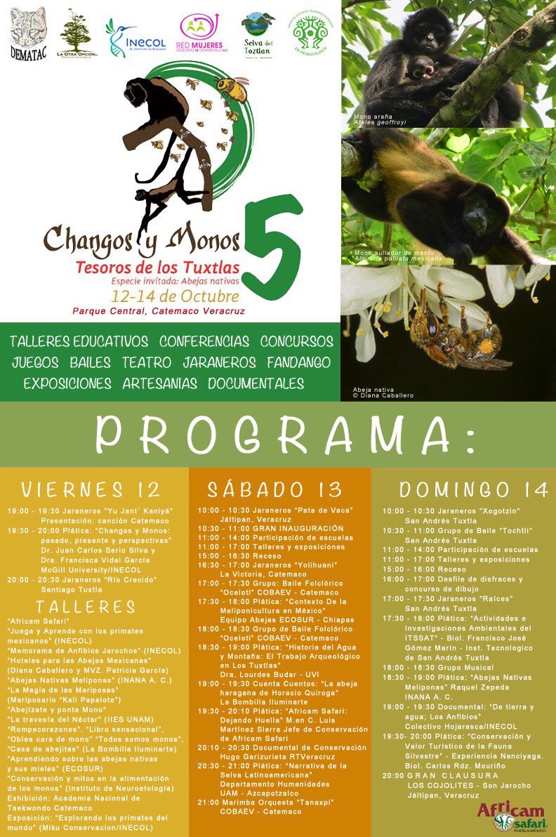 Changosymonos's tweet photo. Les compartimos el programa de nuestra 5a Edición del Festival: Changos y Monos, estamos a dos semanas de dar inicio 🐒 https://t.co/QhyKqfdXR7