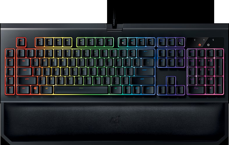 DualsGames's tweet photo. @Rubiu5 🌍 ¡SORTEO INTERNACIONAL! 🌍

 ¬ RTX 2080.(🖥️)
 ¬ BLACKWIDOW RAZER.(⌨️)

REQUISITOS.⤵️
 ¬ Seguir a: @AltsAngelo  • @ForniteParadise  • @DanielsAlts • @iCuentasAlts • @JairConfings 
 ¬ Dar [#RT] y [#MG]

¡TERMINA A LOS 1000 RT!.🔃 https://t.co/luQhMFAq74