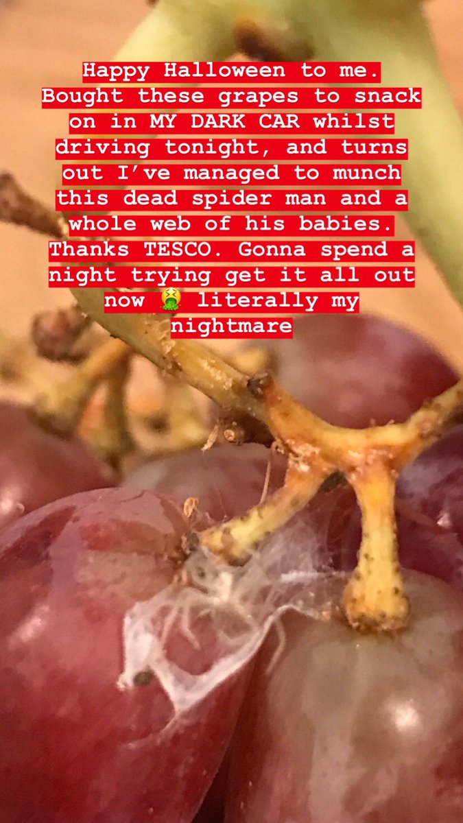 AshtagTrends's tweet photo. @Tesco this is absolutely fucking disgusting. I am terrified of spiders, and it was only when I turned my internal car light on to see what the funny taste was that I saw my grapes COVERED in these things. Feel violently ill and am spending the night over my toilet 🤮 https://t.co/f2Iyi9BMKL