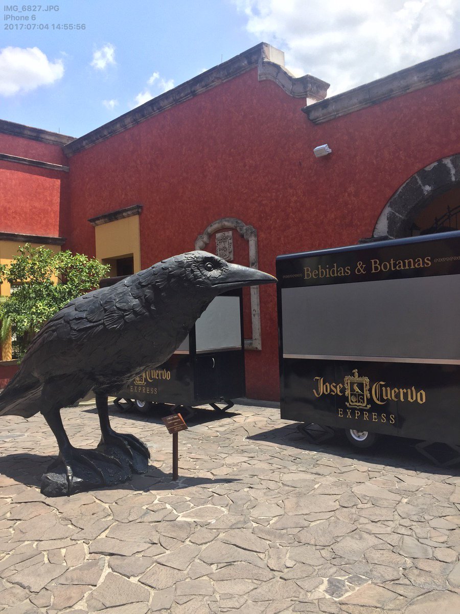 Tour Mundo Cuervo #mundocuervo <a href="/jctradicional/">Jose Cuervo Tradicional®</a> <a href="/JoseCuervo/">Jose Cuervo</a>   <a href="/rutadeltequila/">Ruta Del Tequila</a>  <a href="/CRTequila/">C.R. Tequila</a>  <a href="/JaliscoEsMexico/">Jalisco Es México</a>  <a href="/Secturjal/">Secretaría de Turismo de Jalisco</a>  <a href="/SECTUR_mx/">SECTUR México</a>  <a href="/stereotrotamund/">erick larios</a> @consultoreshote  #JaliscoEsMexico #rutadeltequila #toursxtequila #mexicotequilatours #mundocuervo