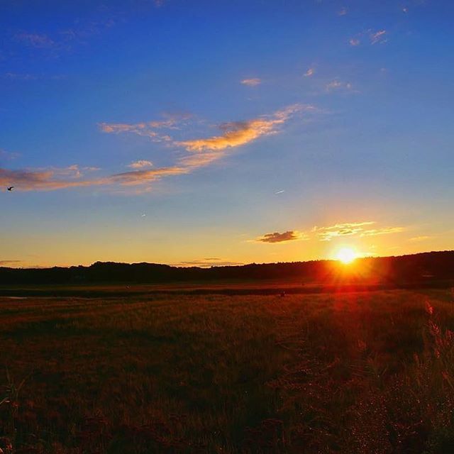 woodmans_essex's tweet photo. Sunset at the salt marsh. By LD
.
.
.
.
#sunset #saltmarsh #bluesky #settingsun #raysofthesun #essexma #woodmansofessex https://t.co/lt0MUbM2Cw https://t.co/sreWEvvurx