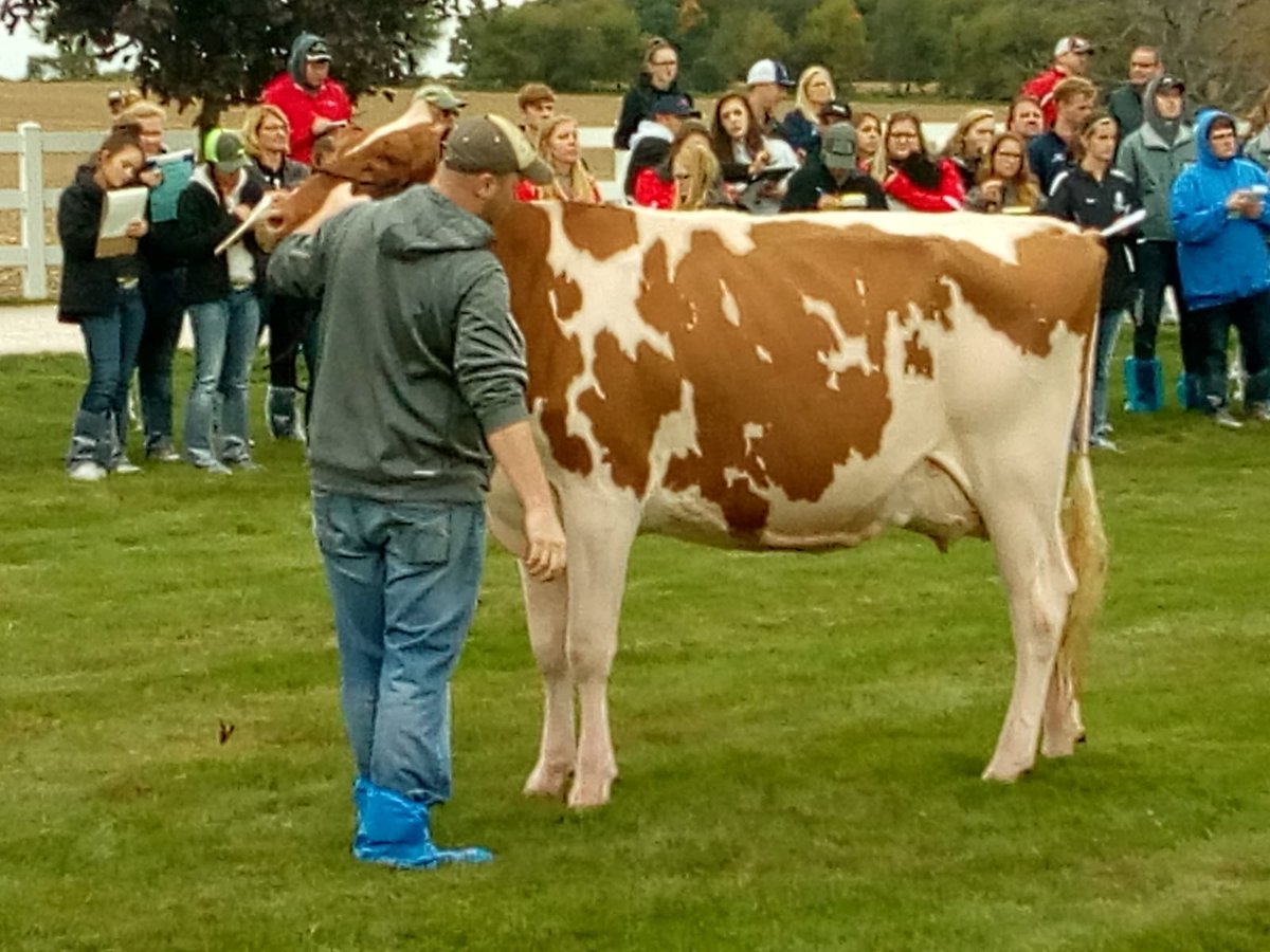 PellikaanB's tweet photo. #Studenten @AereshboDronten in VS. Morgen wedstrijd #veebeoordelen bij @WorldDairyExpo . #Aeres. https://t.co/adUzrCwmfs