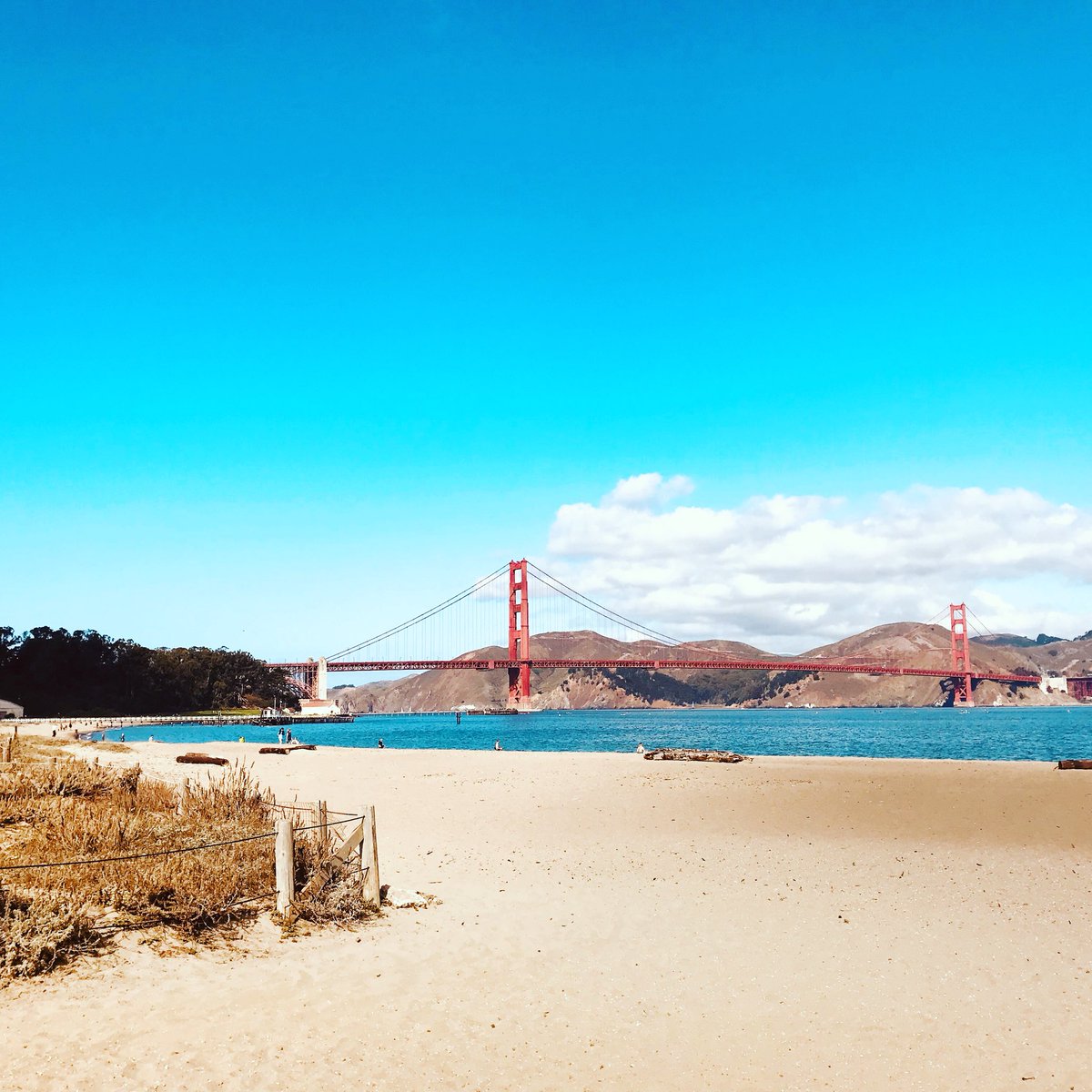 ilr_isabelle's tweet photo. Hello SF #learningex #innovation #discovery @FFA_assurance https://t.co/1vfcVI5dFi