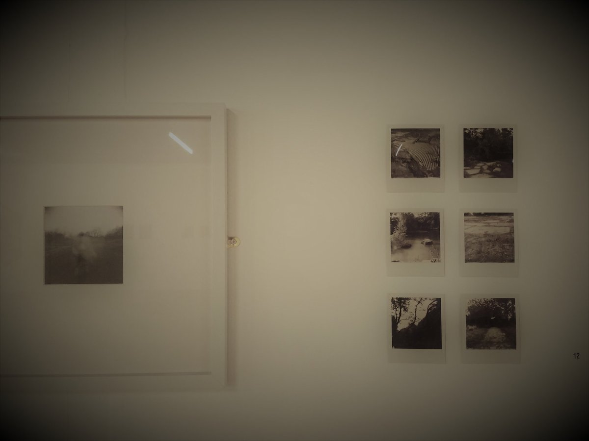 stephyshipley's tweet photo. Thank you to everyone who came to Corduroy Part Two @neo_artists #neogallery23 #Studio44 #Bolton it was something very special and continues to 11 Nov, Thurs-Sun 11-5 #treadinglightly https://t.co/9FQFkj4PwI
