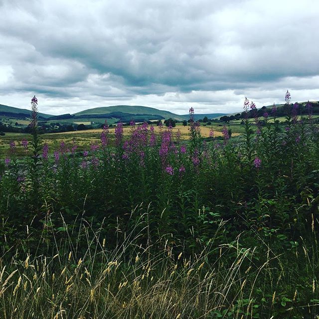 Solutions2pollu's tweet photo. Somewhere in Brecon Beacons National Park.🌳🌿🐰 #tw #nice #landscape #green #happy #love #nature #sweet #fresh #air #grey #sky #wales #uk https://t.co/eIk4aHOqDq