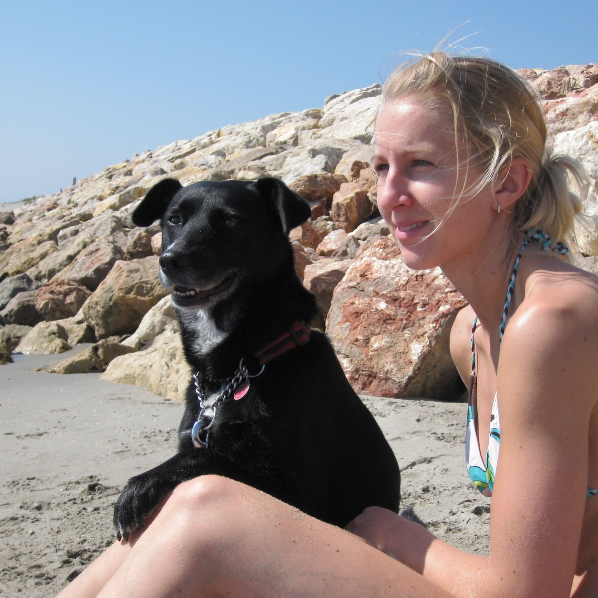 becausemilly's tweet photo. 22.09.2010 💕 Remember a day every day 💕 #becausemilly #holidays #beachbear #ladywithsmilingdog #happiestmemory #lovelovelove #colliecross #rescuedog #reactivedog #dogsoftwitter https://t.co/52ohtEEUE6 🐾 https://t.co/dLgDuESzdk