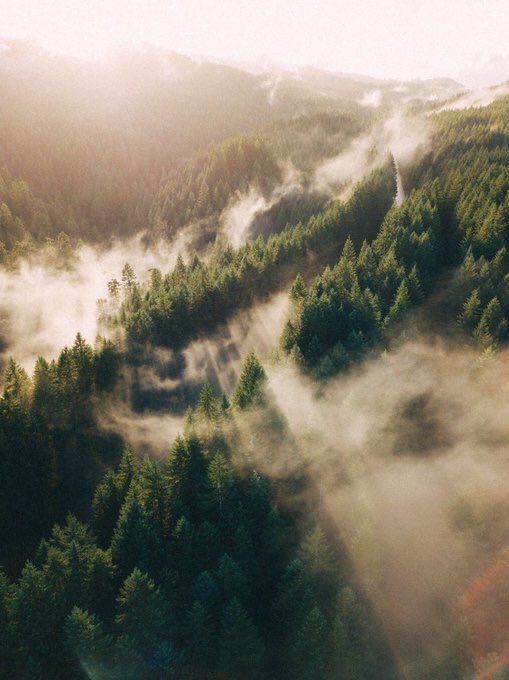coffee_n_mtns's tweet photo. Oregon Rays https://t.co/KrTSZ2DuAO
