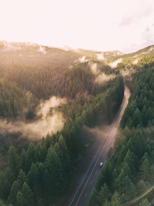coffee_n_mtns's tweet photo. Oregon Rays https://t.co/KrTSZ2DuAO