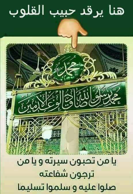Tariq3000_obaid's tweet photo. ومن العجب : 
أنك إذا صليت عليه عرفك 
وإذا كنت
 من أصحاب الخصوصية سمعك 
وإذا كنت
من أهل الليل رأيته .!
سيدى صالح الجعفري

اللًــه. اللٌــه. اللٌــه. 
اللهم صل وسلم وبارك علي سيدنا ومولانا محمد
وعلي ال سيدنا محمد مددي ومدد كل محب 💚 ِ https://t.co/eVXsauk5Gd