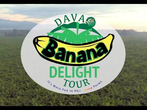 TravelingApps01's tweet photo. New post (Banana Delight Tour FINAL) has been published on Traveling Apps - https://t.co/gvAyJ2scLq https://t.co/AjDF7Pn5QM