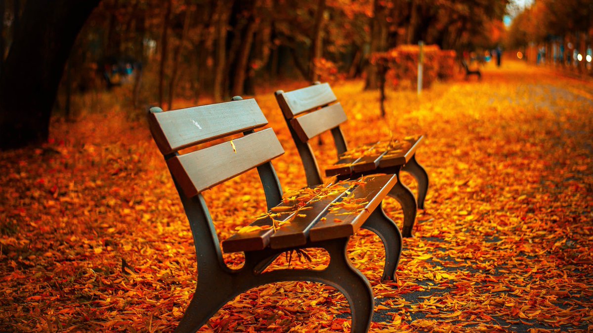 S_Galimberti's tweet photo. Dell’autunno mi piace che tutti i colori sono giusti, e i rumori e i profumi, a rispettare un antico impegno. https://t.co/xNFfBVNvHb