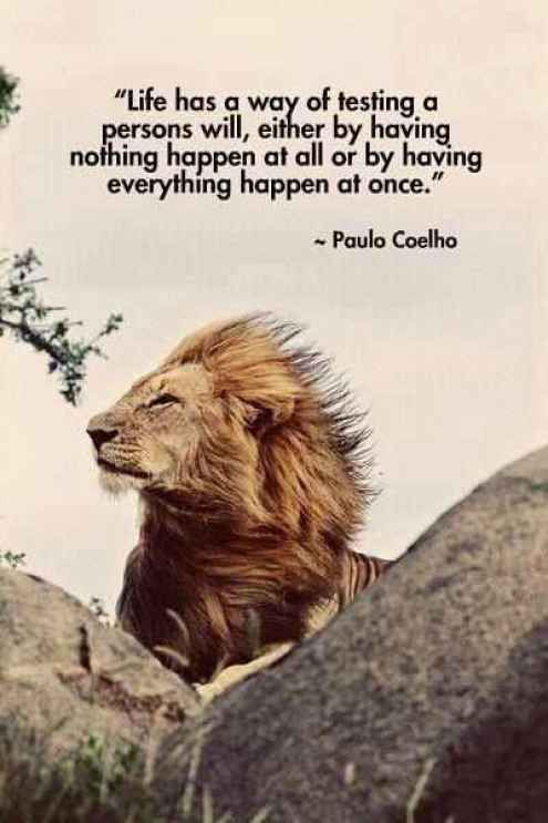 FFreelancer3's tweet photo. #creative #MiddleEast #arabic #learnlanguages #arabic #english #new #goodmorning #time #usa #twitter #facebook #fiverr #freelancer #writer #freelance #exchange #lion #quote #motivation #positive #psychology #life #YouCanDoIt https://t.co/kap2D1Urdv