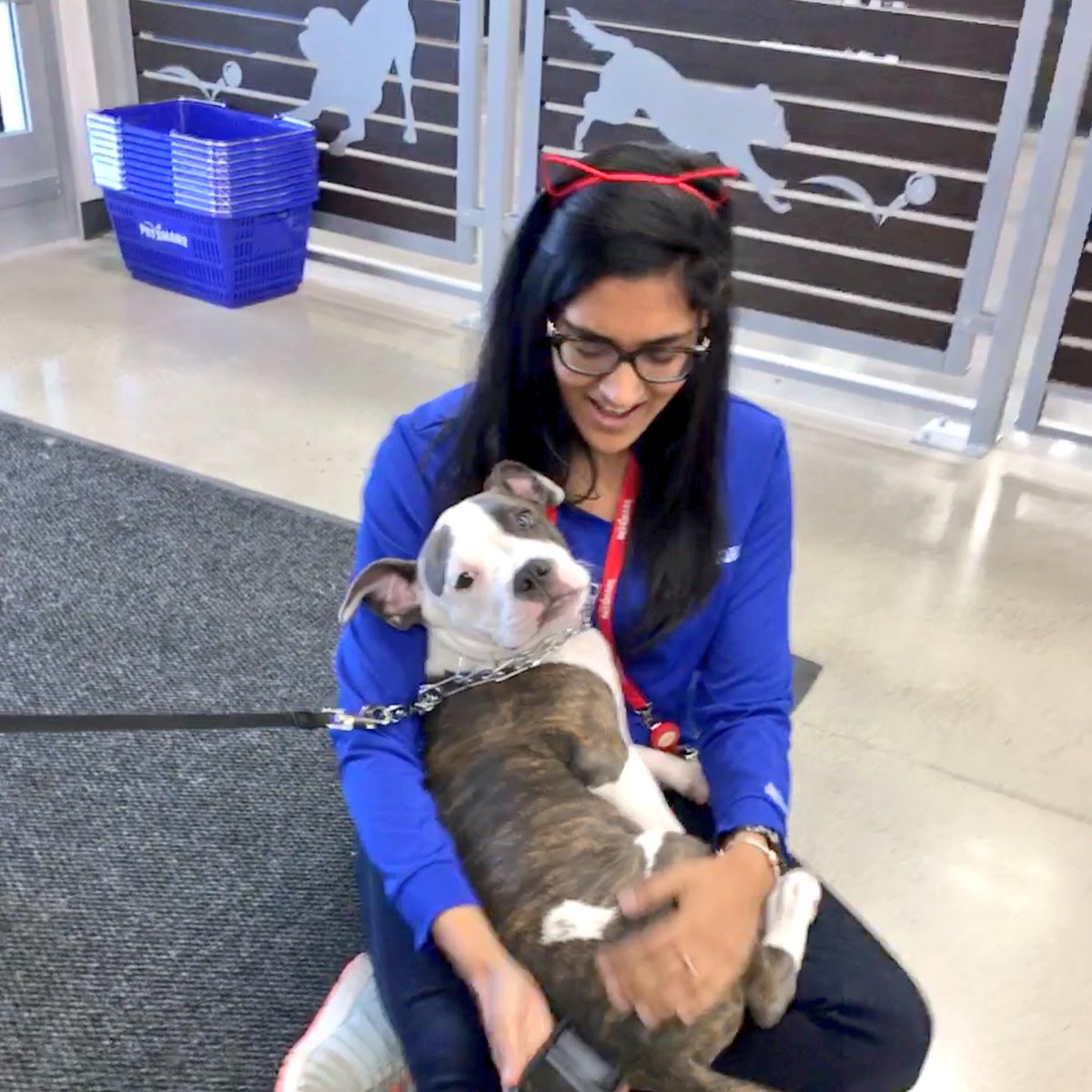 Brampton Corners PetSmart tweet media