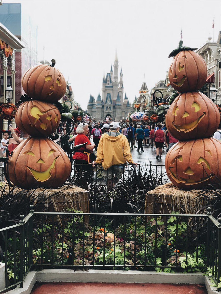 xFuzz__'s tweet photo. 🍂 https://t.co/0h9QKXDPNO
