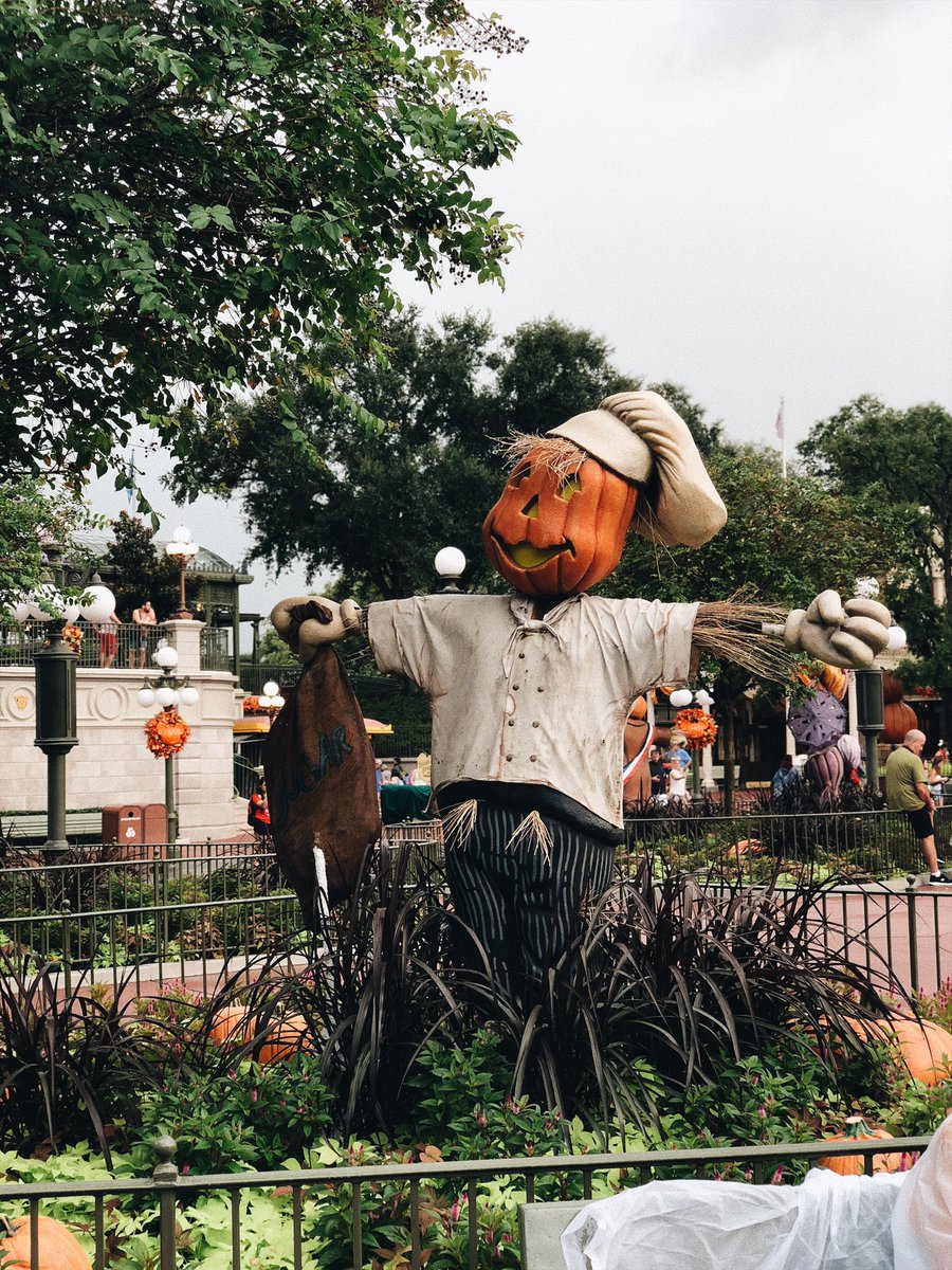 xFuzz__'s tweet photo. 🍂 https://t.co/0h9QKXDPNO