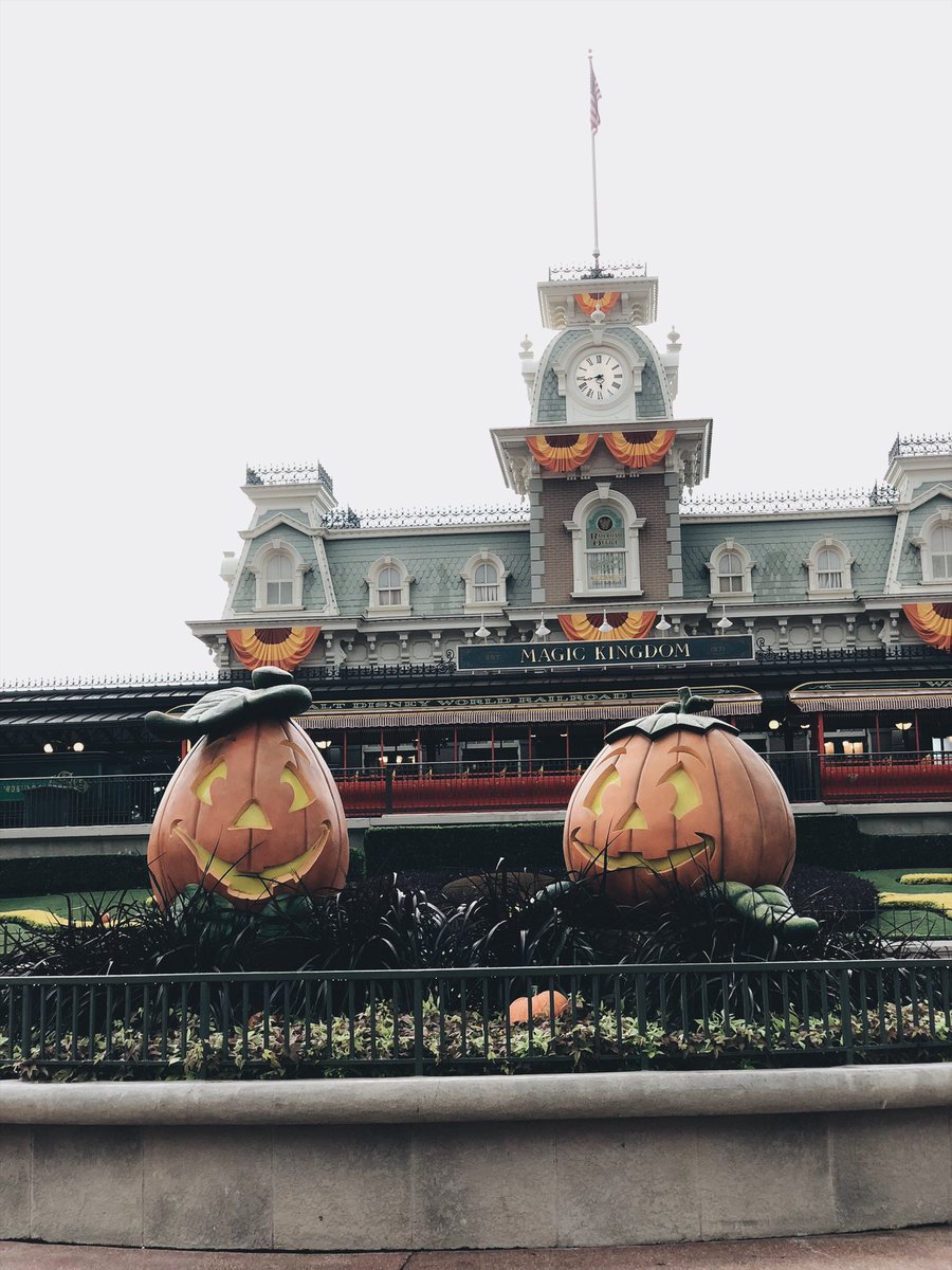 xFuzz__'s tweet photo. 🍂 https://t.co/0h9QKXDPNO