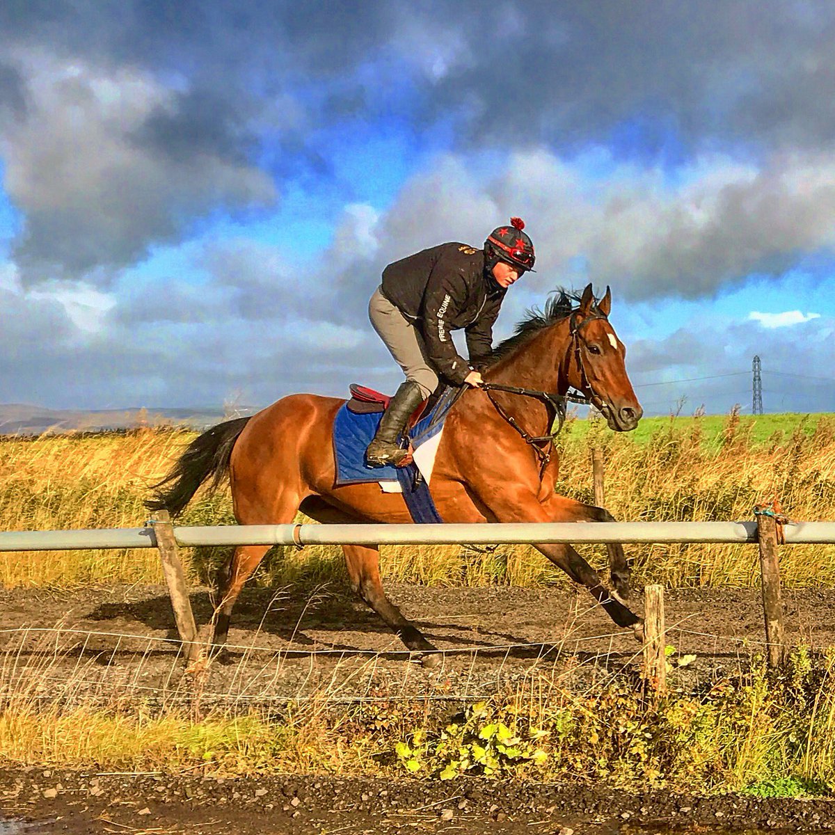 JimGoldieRacing's tweet photo. Delighted to get @JDeltaRacing Restive a win @Musselburgh, lovely ride from @Ali_rawlinson #RipVanWinkle #IHearyouKnocking #DanehillDancer #EponaBloodstock https://t.co/3Jd3gOYuue