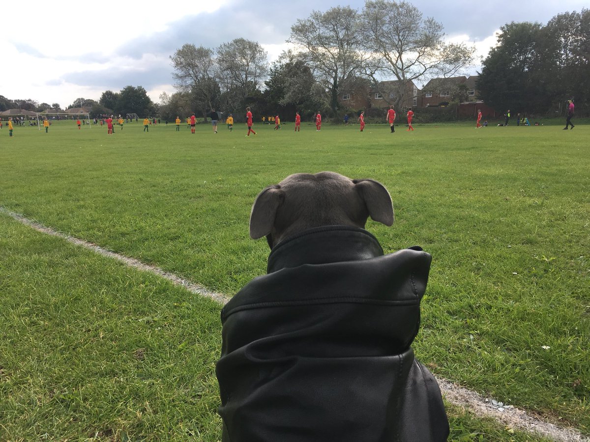 SimonPettit_MOT's tweet photo. Doing my #footballdad bit for @ramsgatefc this morning, putting nets up and coaching the U’12s game. Unfortunately lost the game, but the lads put in a good performance on the new larger pitch!
#Kentfootball #footballaddicts #NextGenRams https://t.co/wvpOTGOozh