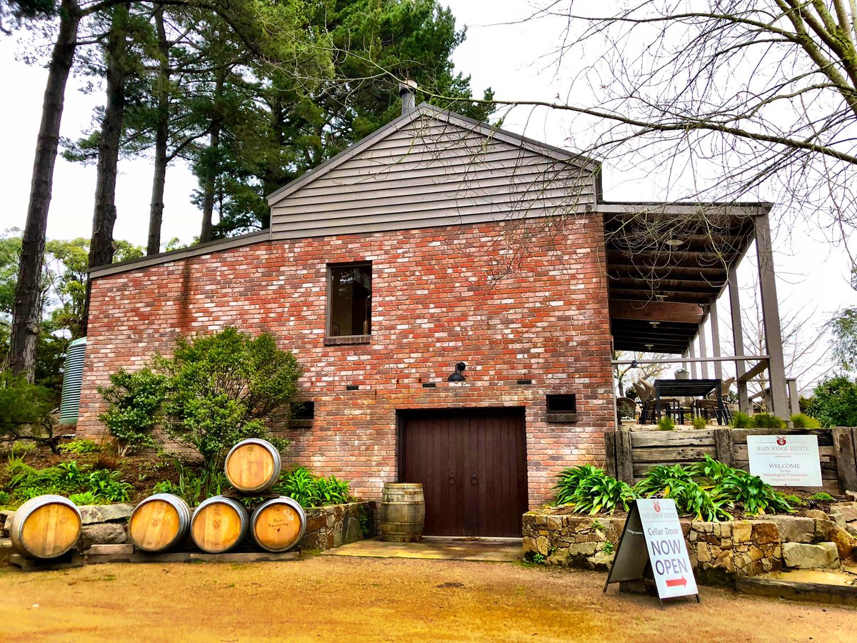 WinedNDined's tweet photo. Main Ridge Estate, the oldest cellar door in the #MorningtonPeninsula region, was small but quaint. I picked up a very pricey but premium well balanced, fruit forward Pinot Noir capable of laying down for the next 10 years. Meanwhile, my ‘driver’, @lavalstgermain was having a nap https://t.co/NmFVM0qrxs