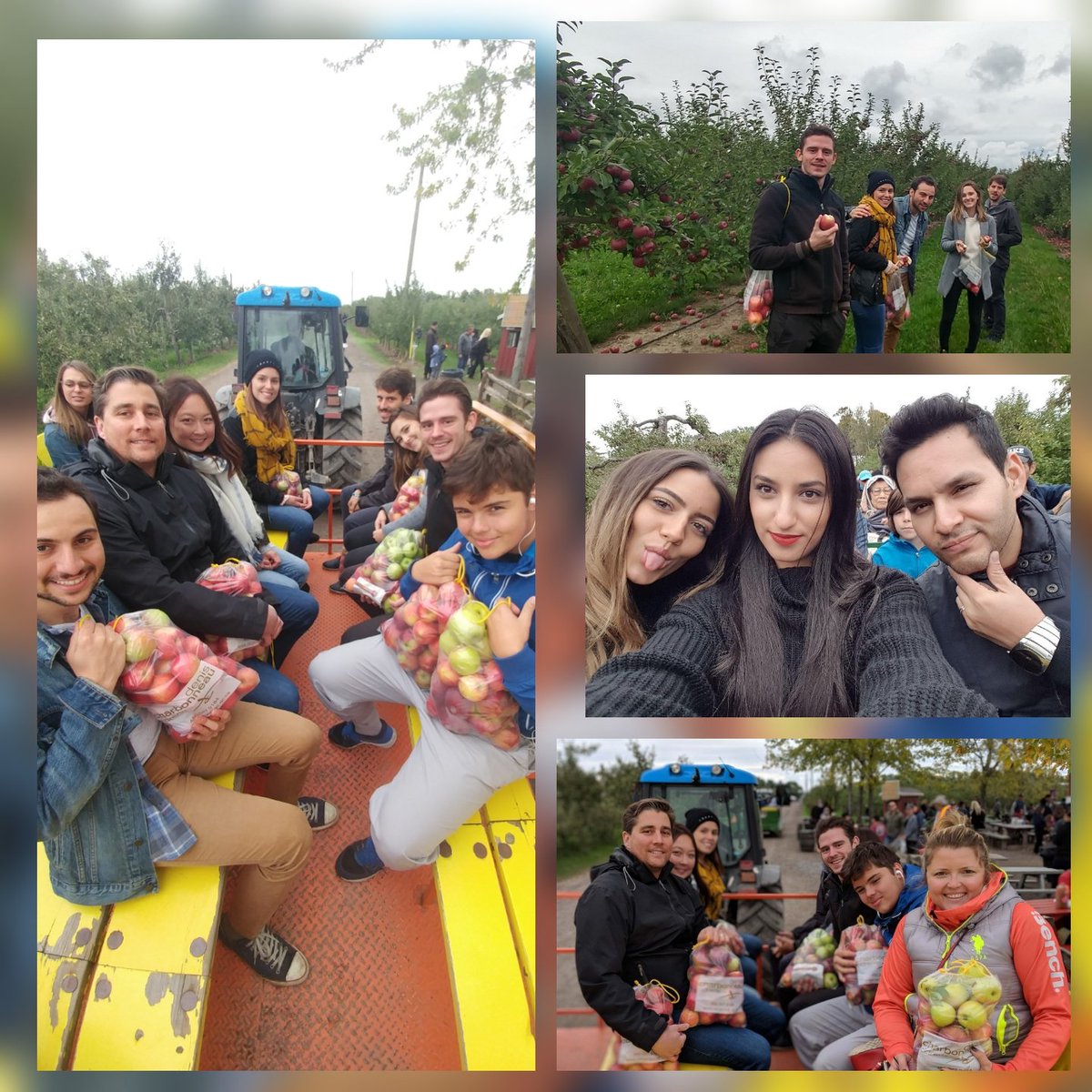 MtlElena's tweet photo. Priceless team apple picking!!! Beautiful day and now... baking time😊!  #applepicking #teamBMO #teamactivity https://t.co/ojoFq3vPpN