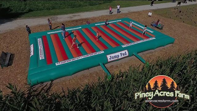 pineyacresfarm's tweet photo. Have some kids that need to get the wiggles out? Weโve got some great ideas...๐ #pineymoments #fallfamilyfun #fallinindy #familytravel #indianapolis #visitindiana https://t.co/nEaJ3Z0MqX