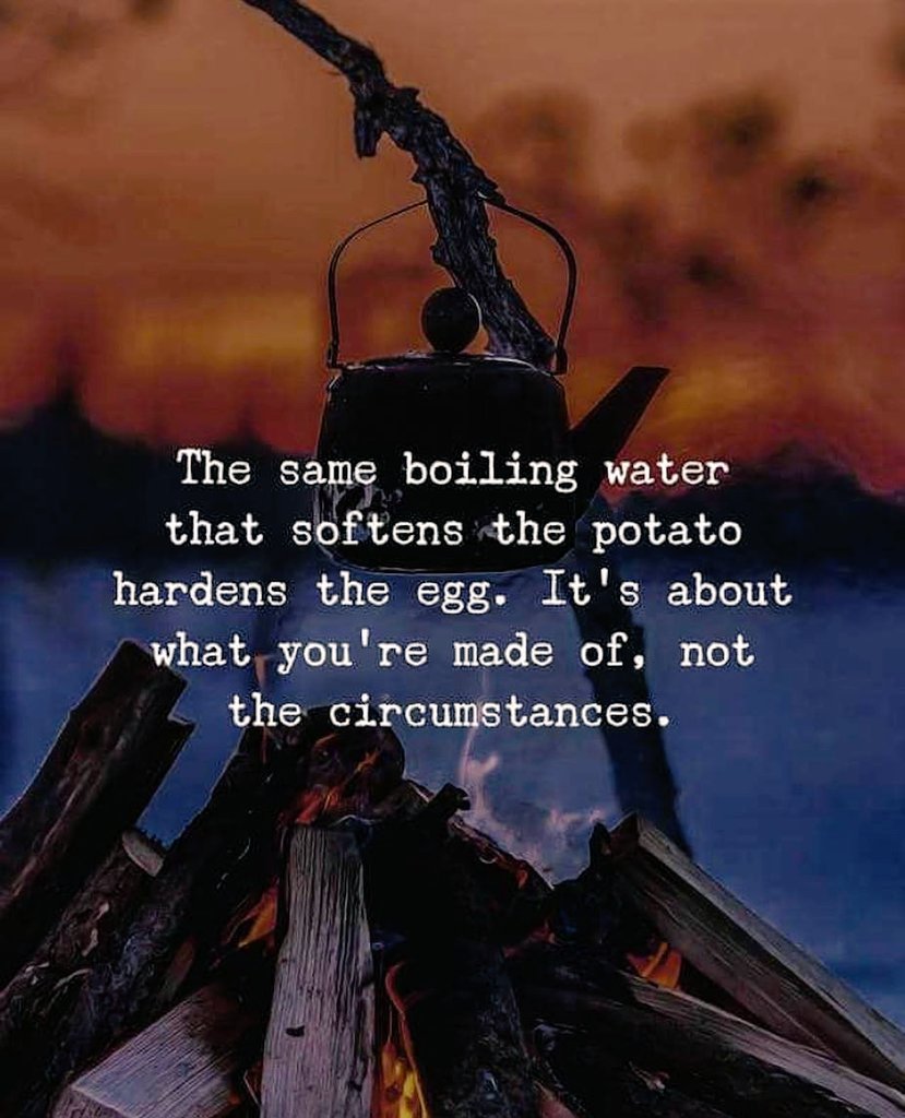 SirJadeja's tweet photo. Don't Blame The Circumstances, Make The Most Of It By Adapting Yourself To It. Good Morning. Have A Great Week Ahead. 😇🤗🙏 #MondayMotivation https://t.co/kwRCnYxc5b