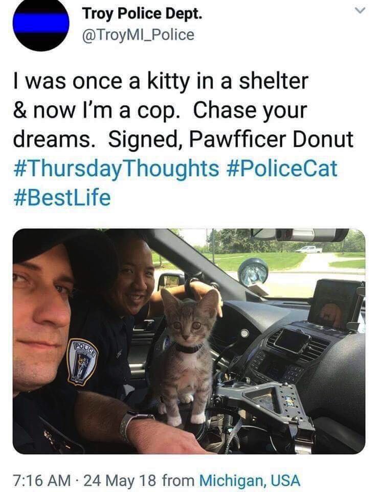 Robbo1992x's tweet photo. Blue (9) lives matter #CatRight #BlueLivesMatter https://t.co/daAl5t8ZAH