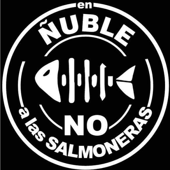 BaruManosalva's tweet photo. #ElInformanteTVN
#ÑubleSinSalmoneras 

En los próximos días se votarán los proyectos acuícolas para la nueva región de Ñuble y con fuerza decimos NO a la contaminación y miseria para  nuestra costa.  
@TSCobquecura 
@chillanactivo 
@CronicaChillan https://t.co/WbyQWdPrTF