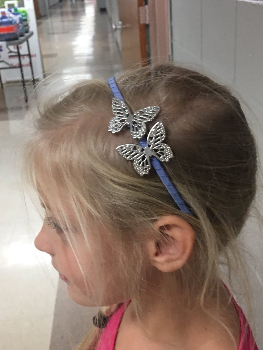 SusanRbusymom's tweet photo. ER’s Butterfly Launch outfit for UES. I love the slogan! #dontrunfly #unionSTEM https://t.co/Jcr4yevflY