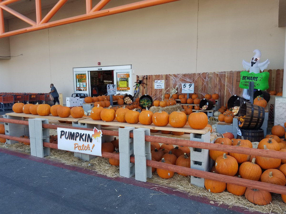 JamesB_FWH's tweet photo. Come out and visit the pumpkin patch!! The right size for everyone! @FastWaterHeater @homedepot @PacSouth https://t.co/YWrh4sAA9z