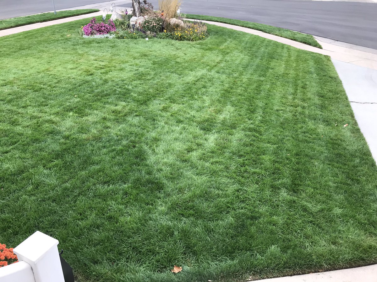 mrbilloutdoors's tweet photo. 5 weeks into the program and the lawn is looking great. And to quote @jakethelawnkid from one of his videos I just watched, โmow it high, edge it tightโ ๐ @AllynPaul @Milorganite @KobaltTools @IFACountryStore #enjoythemow #watchingthegrassgrow #lawncare #lovingthekobalttools https://t.co/KlmCK4XVAP