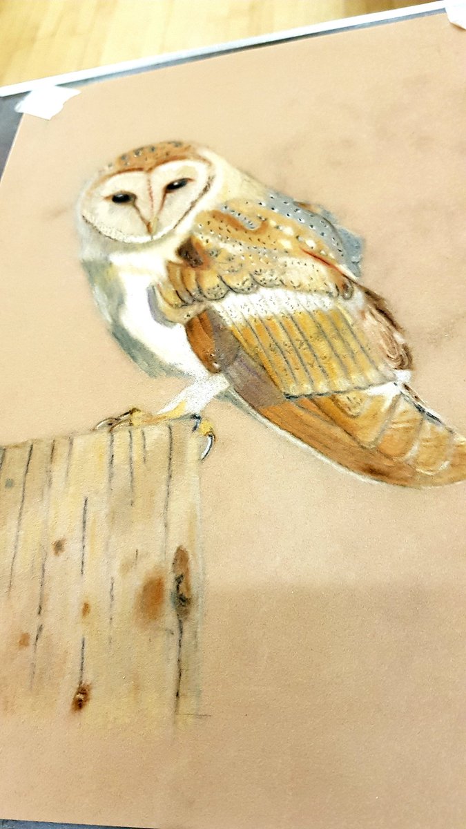 Paintings from our group