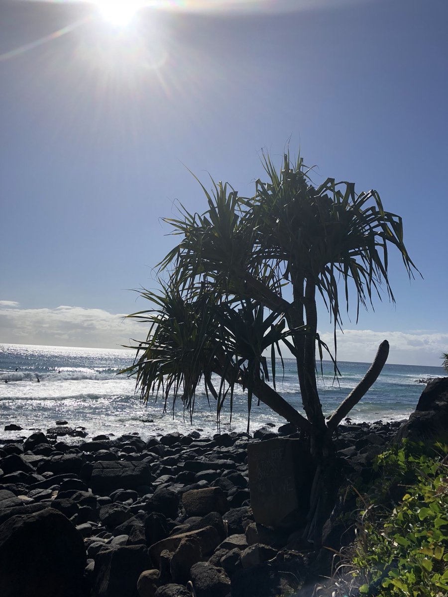 Stand here and think of someone you love... ❤️

#dateatradieapp #dateatradie #thebachelorau #tradieundies #tradieunderwear #surfing #beach #football #afl #rugby #nrl #dating #love #romance #soulmate #datingadvice #dating #burleigh #burleighheads #burleighqld #burleighheadsqld