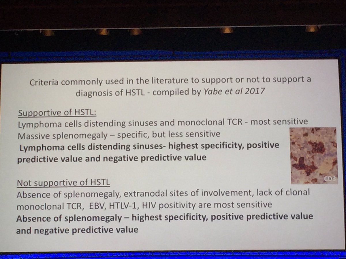 LiveLovePath's tweet image. T-NHL in bone marrow:                    #HSTL v/s #LGLL #haematopath2018 #Hemepath by Dr A.Attygale