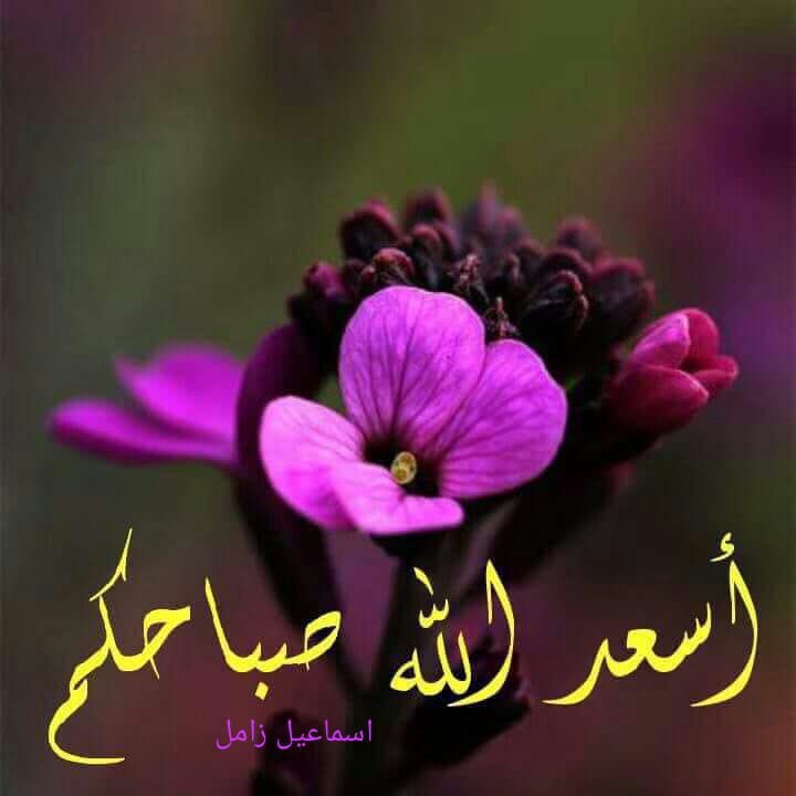 Afffa02625893's tweet photo. https://t.co/ymzrPVZz6h