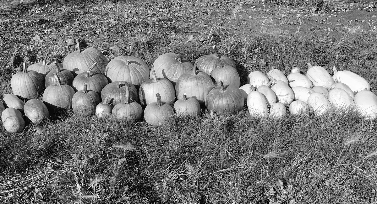 mdurandLST's tweet photo. My life in 7 days #blackandwhitephotos Day 2/7 No people, no explanation. Nominated by @toujouramie Today I nominate @VanessaHarriott https://t.co/qhE8Fds4mo