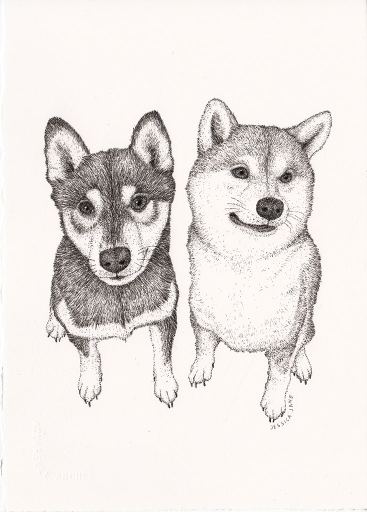 Jessica Jane tweet media