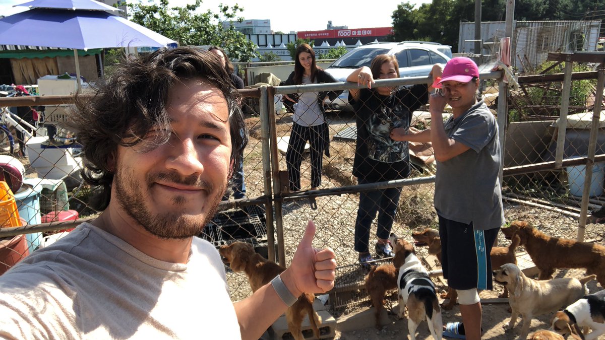 markiplier's tweet photo. We gave the money ($6500) to the lady 고영슨 who rescues all those dogs. She was grateful beyond words, constantly saying that it would have taken her 10 years to save up that much money. Thank you guys so much for your generosity! https://t.co/JEsf3MgODY