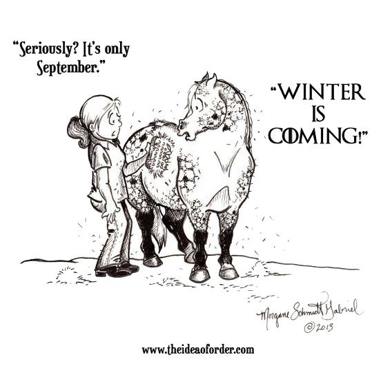 Is your horse already showing signs of his winter coat coming in? Share a photo!

Cartoon from: ow.ly/ddzH30frQUQ