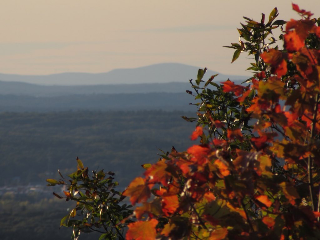 Lee Toma tweet media