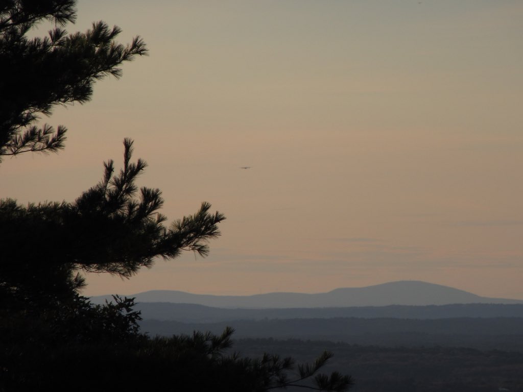 Lee Toma tweet media