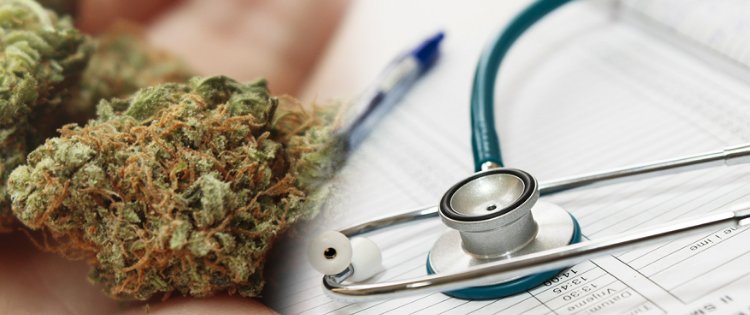greendorphin's tweet photo. Legal Cannabis on Queensland’s Sunshine Coast: The MEDIFARM Story https://t.co/o0xoPlNcFT #MEDIFARM #Australia #Cannabis #Medicinalcannabis https://t.co/ol4OLN0eEw