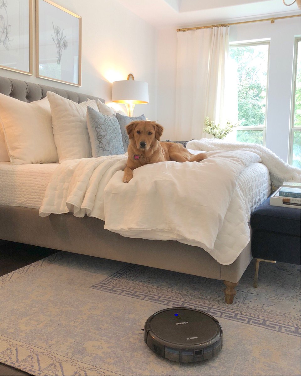 Decor_Gold's tweet photo. Tonight, on the blog, I’m sharing some amazing products I use to keep my bedroom looking beautiful and clean! This robot vacuum is one of my finds &amp; I couldn’t love it more! https://t.co/FL0pbwOMwP #eBayStyle #ad @eBay https://t.co/ObLD8YcNXv
