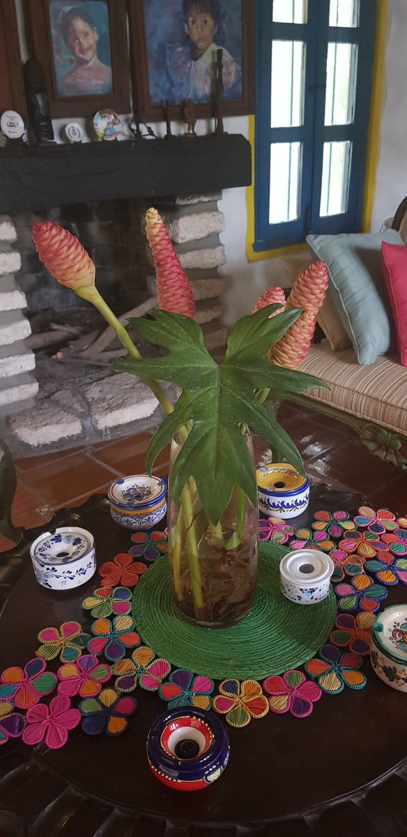 silvialopeze's tweet photo. Gozando las flores de mi jardín 
En una tarde de descanso.
Veo entrar la luz del nuevo mes que me dice:
Algo inicia en Yucatán.
Algo acaba..
Etapa de  metamorfosis.
Esperanzas afloran,  como mis flores. 
Espero que perduren https://t.co/WpL2PZUbiR