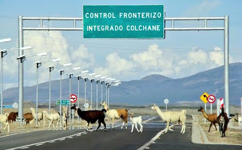 Uživatel Cristián Nuñez Fica na Twitteru: „#IQUIQUE 🇨🇱🇧🇴 Abro ...