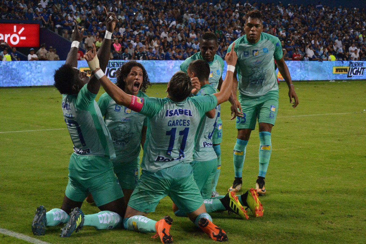 💪⚽🐬