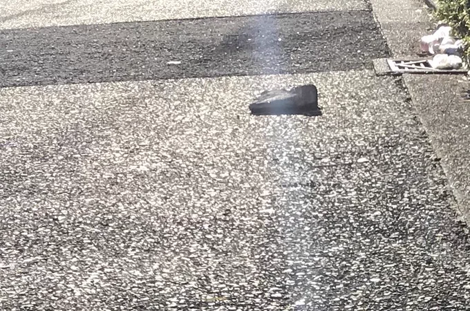 猫?

あ、飛んできた塀か。

飛んできた塀!!????????? 